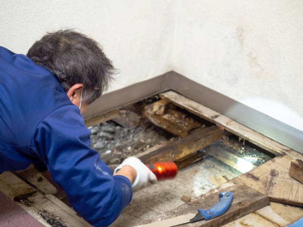 Best Crawl Space Mold Removal  in Stryker, OH