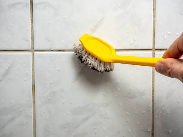 Best Best Mold Removal Companies  in Stryker, OH