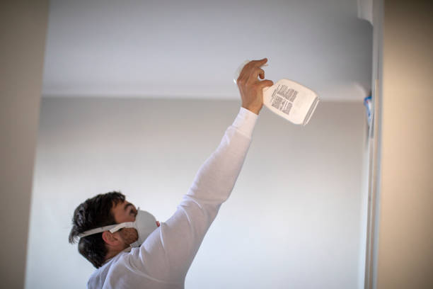 Best Local Mold Removal Service  in Stryker, OH