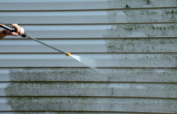 Best Commercial Mold Removal  in Stryker, OH