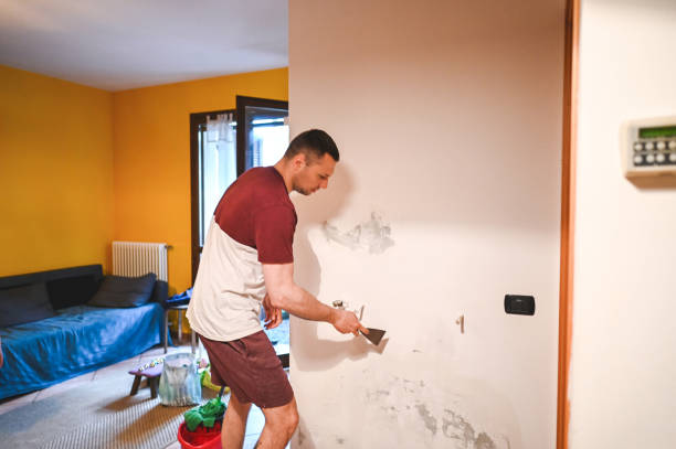 Best Attic Mold Removal  in Stryker, OH
